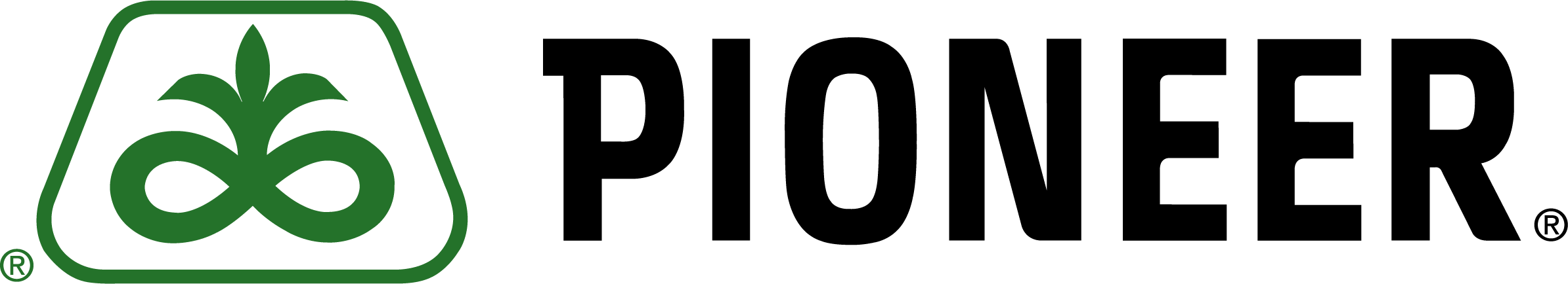 PIONEER logosu